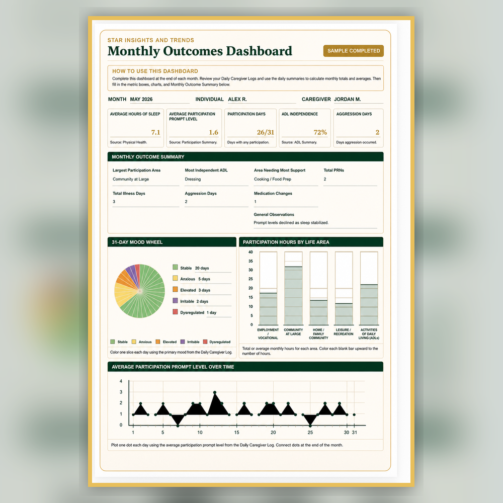 STAR Daily Caregiver Log monthly outcomes dashboard sample page